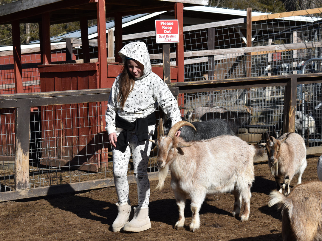 Smoky Mountain Deer Farm & Exotic Petting Zoo-塞维尔维尔必去景点