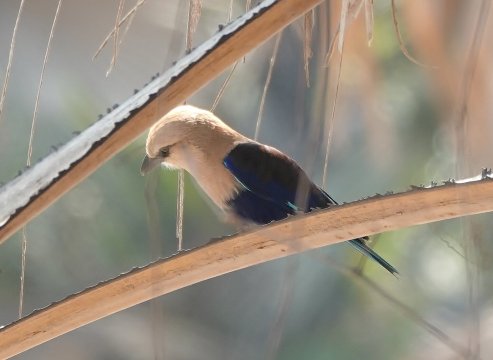 里欧海滩休闲酒店及餐厅 - 限成人入住-浴室