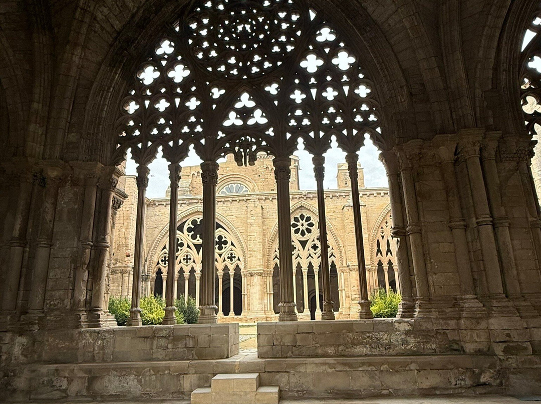 La Catedral Vieja景点图片