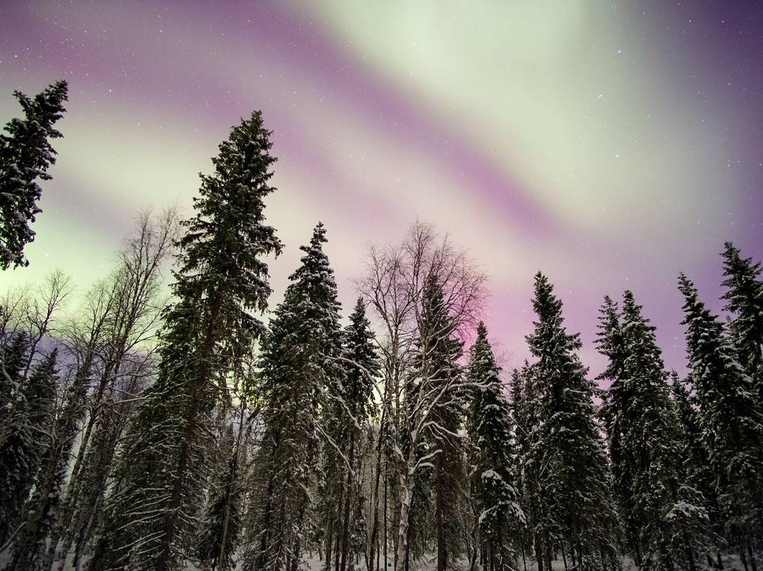 Lapland Explorers-罗瓦涅米必去景点