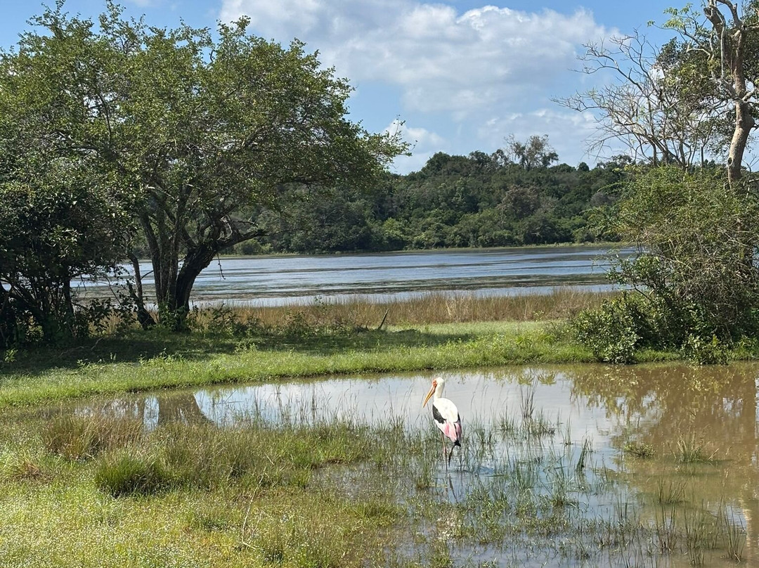 Wilpattu Wild Charm景点图片