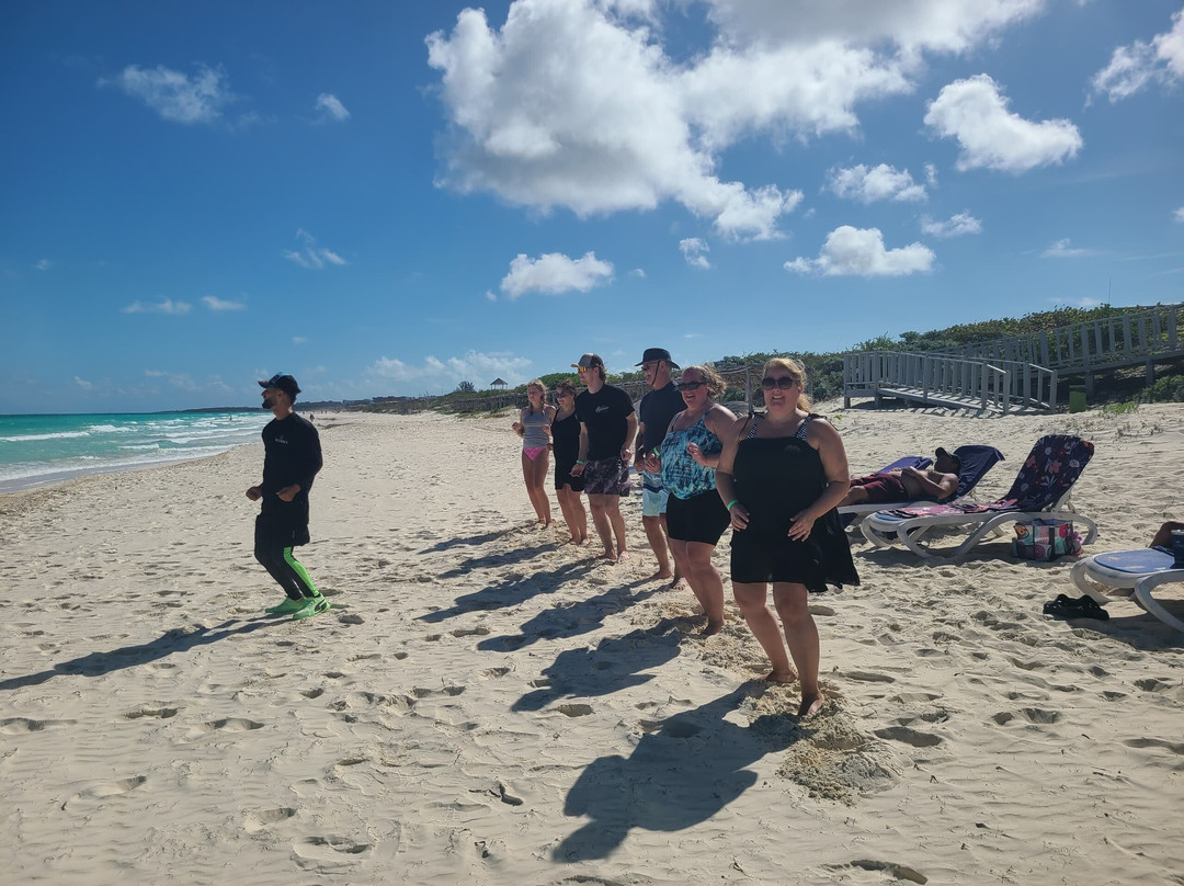 Starfish Tropical Santa Maria