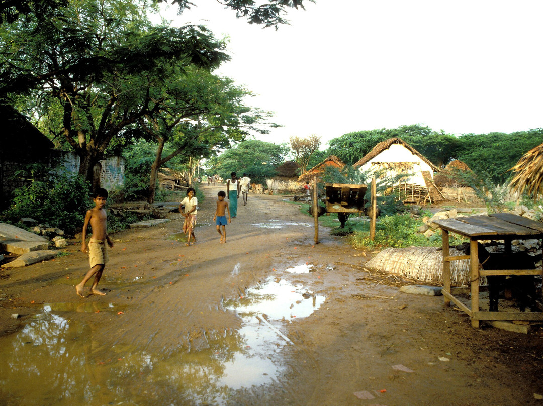 Sri Ramana Ashram景点图片