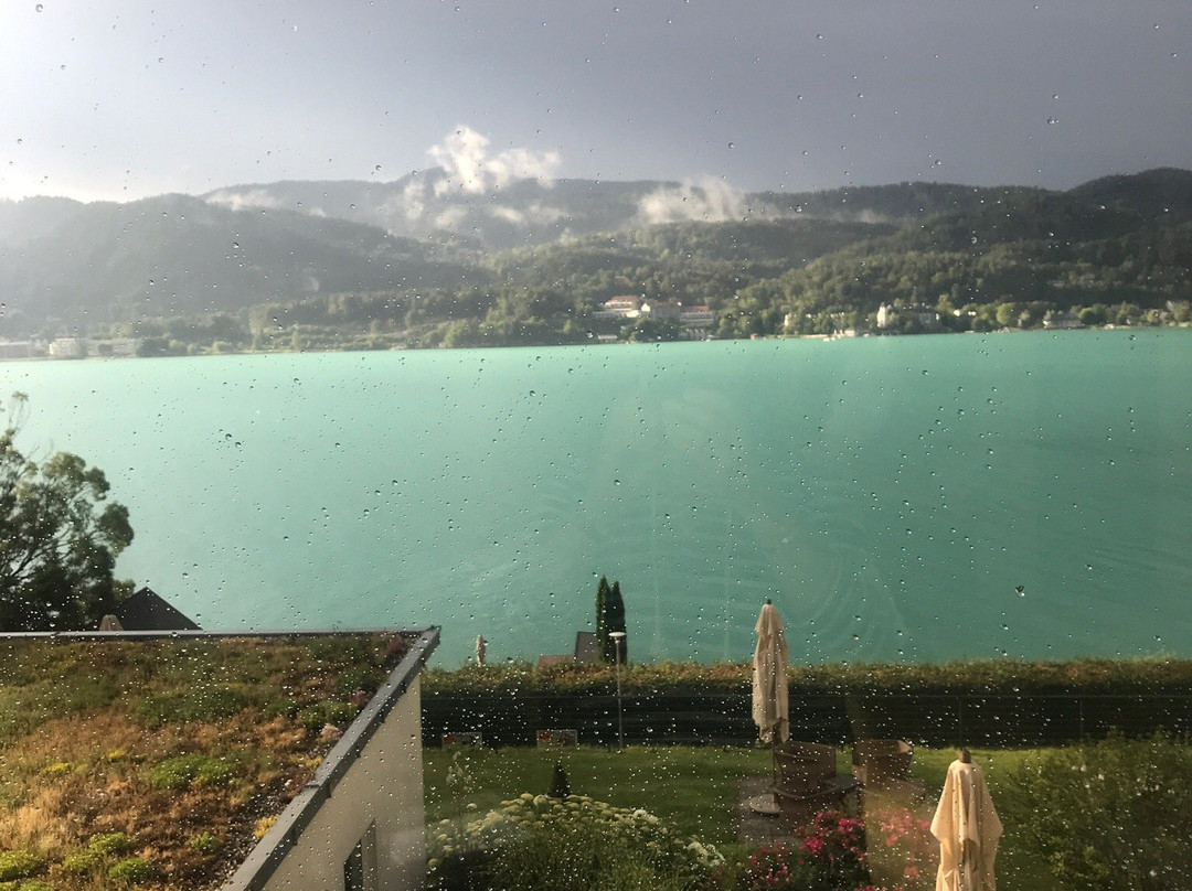 The Original FX Mayr主图