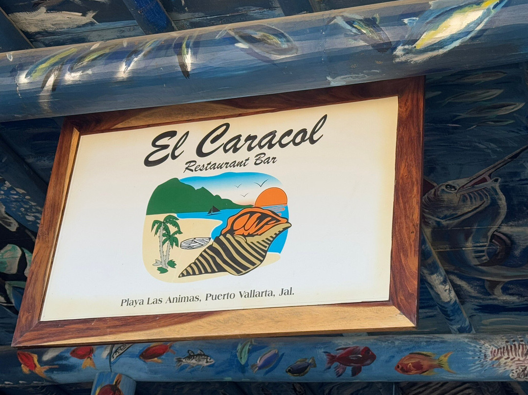 Adventure Lovers PV-瓦拉塔港必去景点