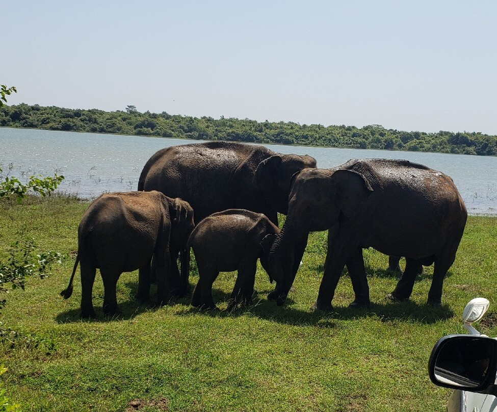 Oneki Tours-蒂瑟默哈拉默必去景点