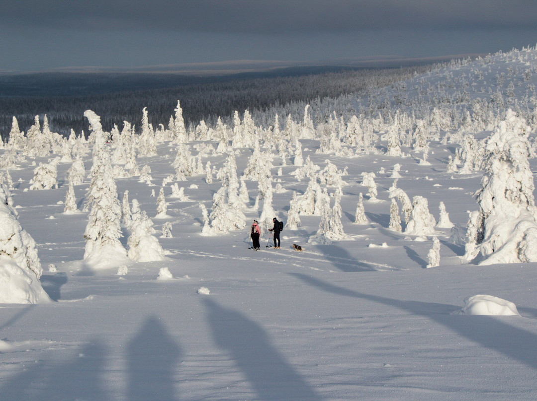 征服北极之旅-罗瓦涅米必去景点