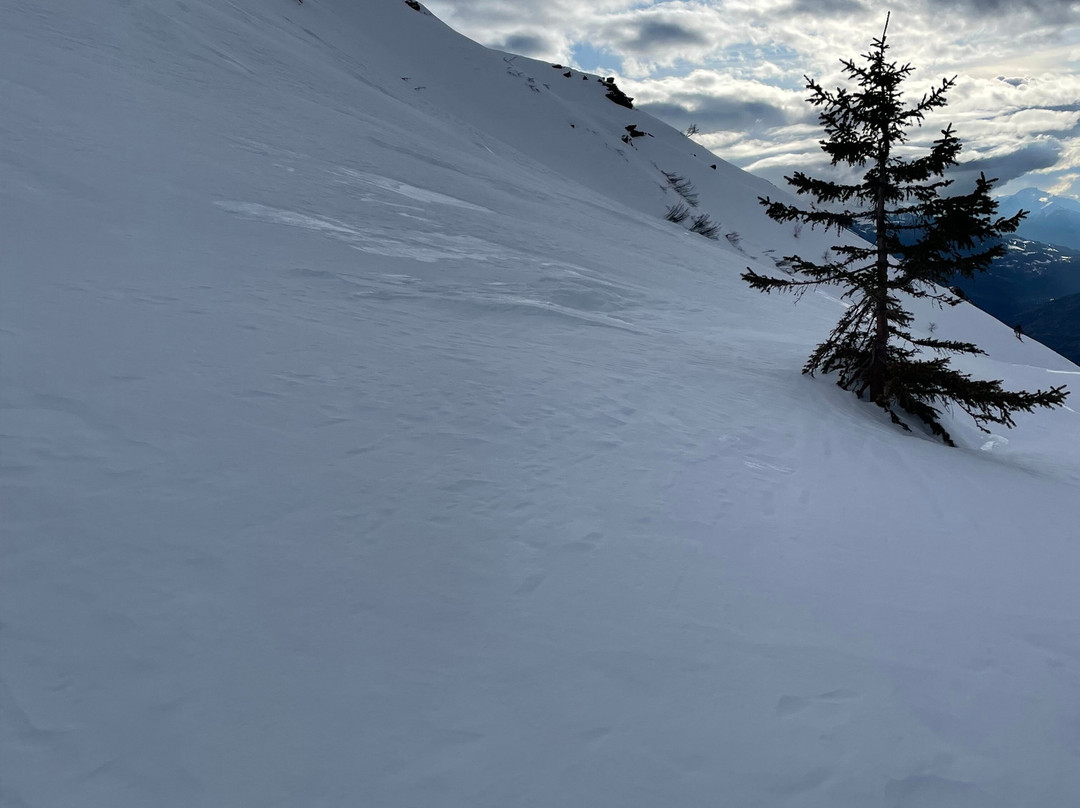 École de ski Oxygène La Rosière景点图片