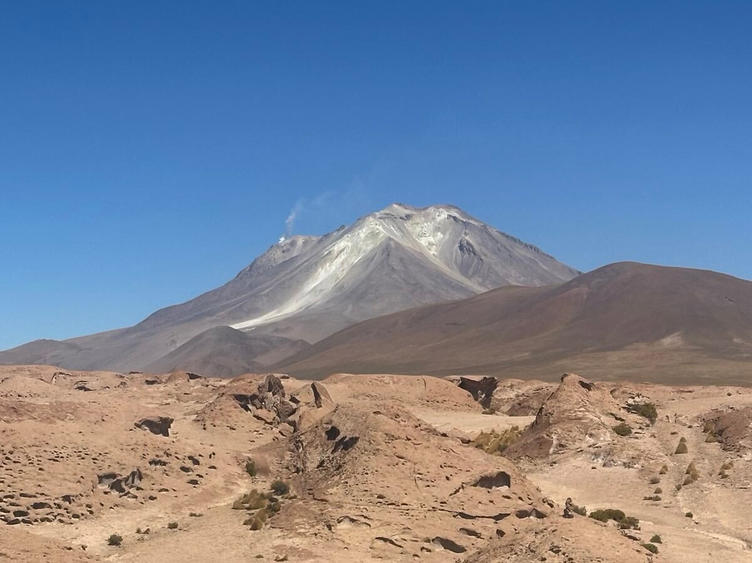 Andes Salt Expeditions Tour Operator景点图片