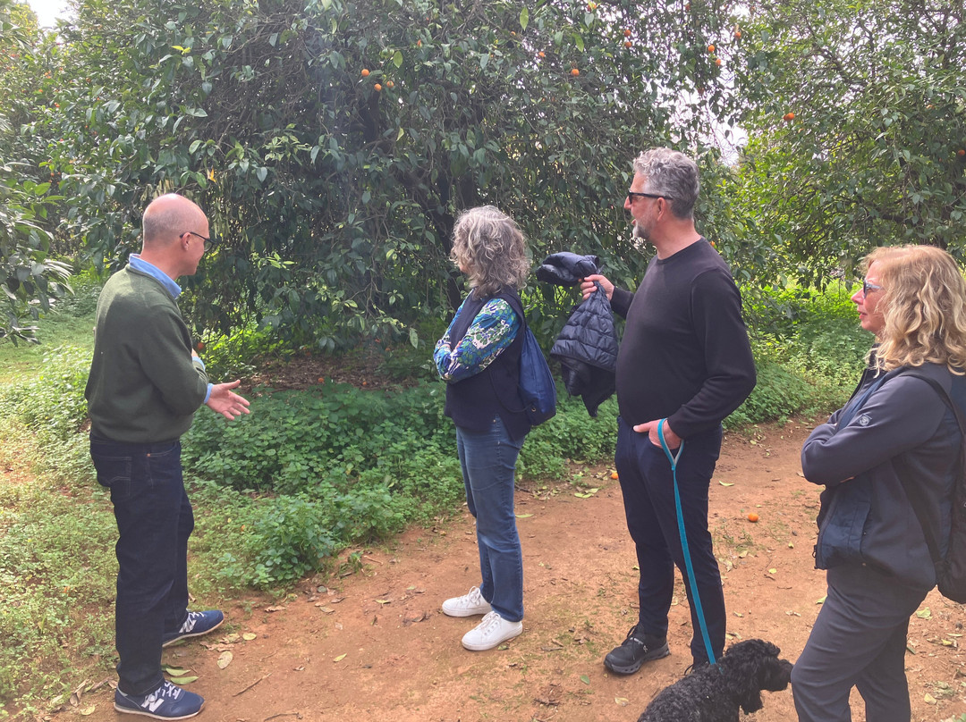 Gospa Citrus S.L.-Mairena del Alcor必去景点