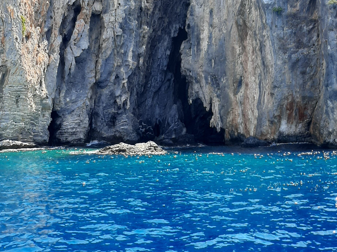 Dalyan Boat Tours - Ege Kaptan景点图片