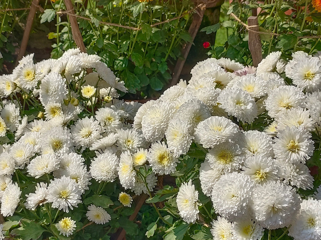 Villas & Fun Hospitality-那格浦尔必去景点