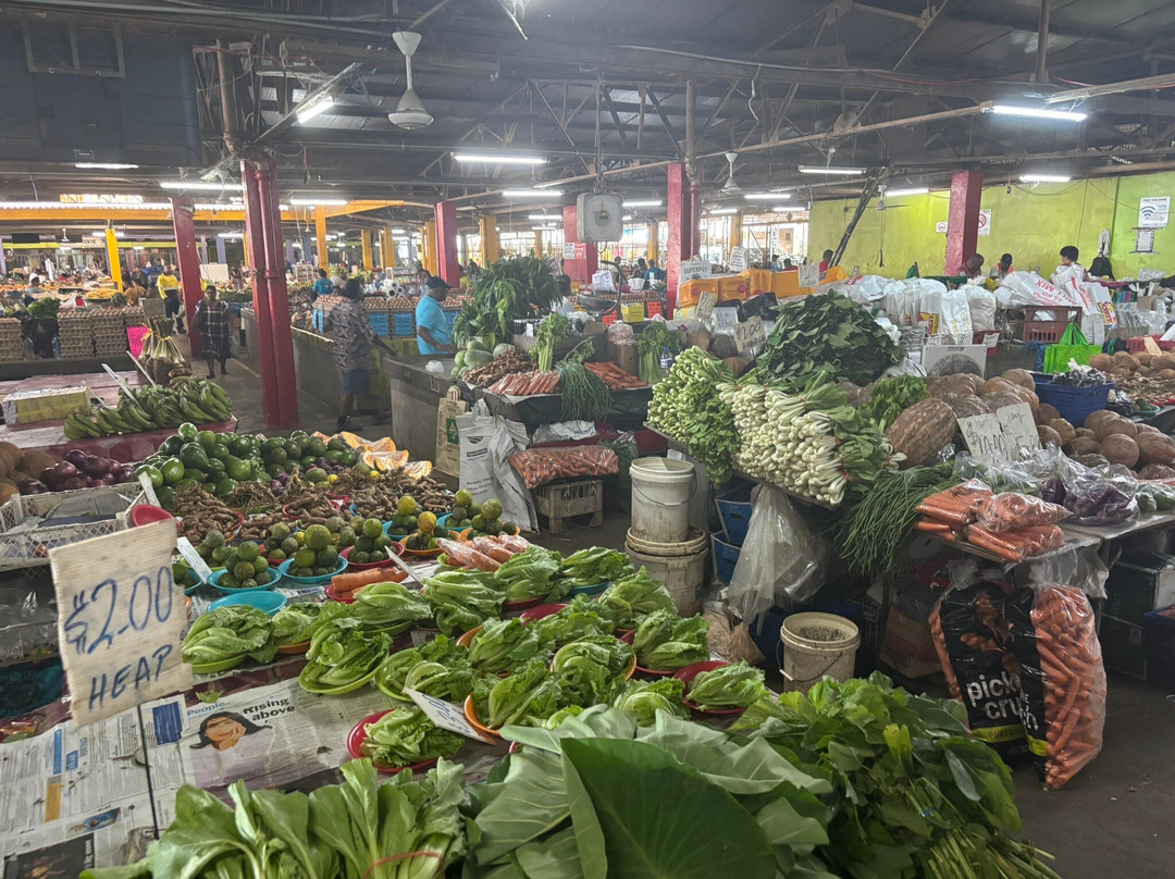 Suva Municipal Market-苏瓦必去景点