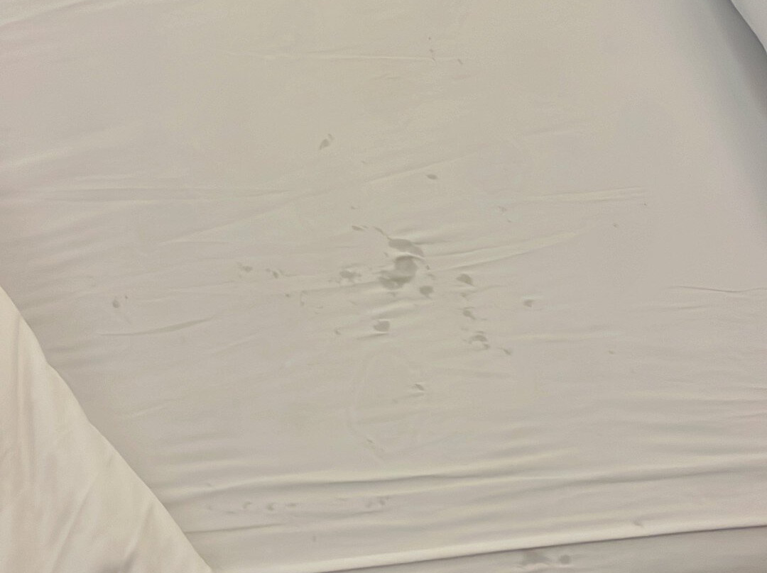 Weston Suites & Hotel主图