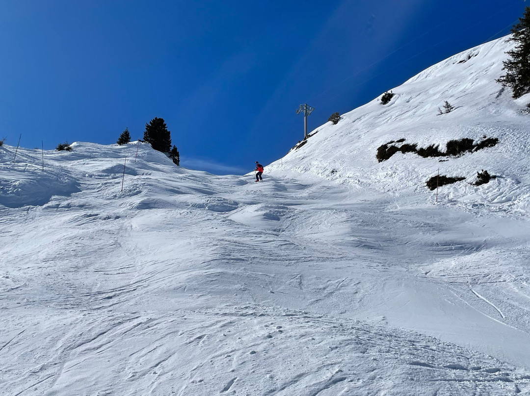 Marmalade Ski School景点图片