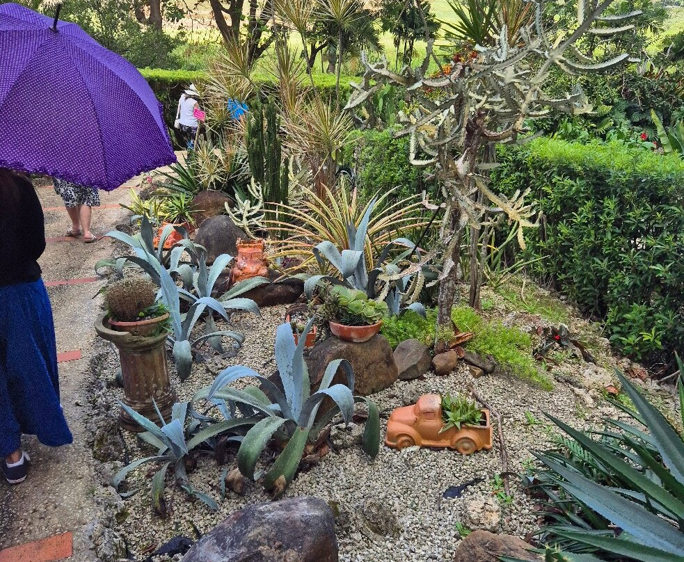 Tropical Garden Barbados-Saint George Parish必去景点