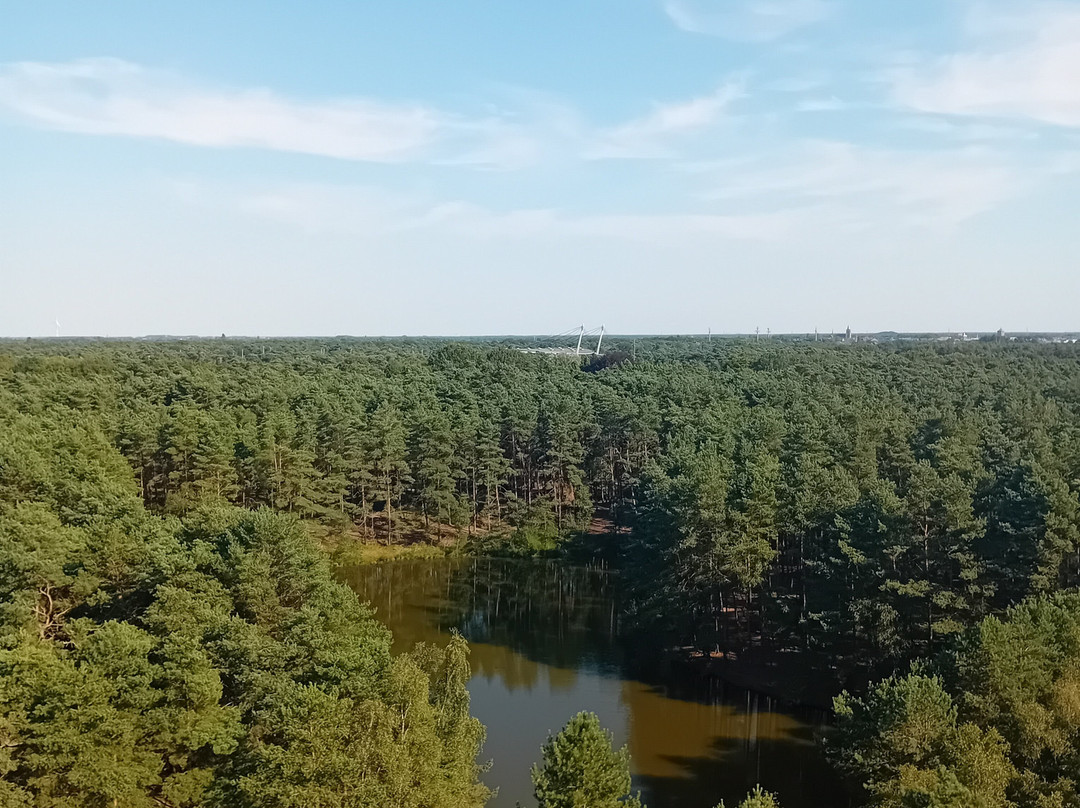 Uitkijktoren Lommelse Sahara景点图片