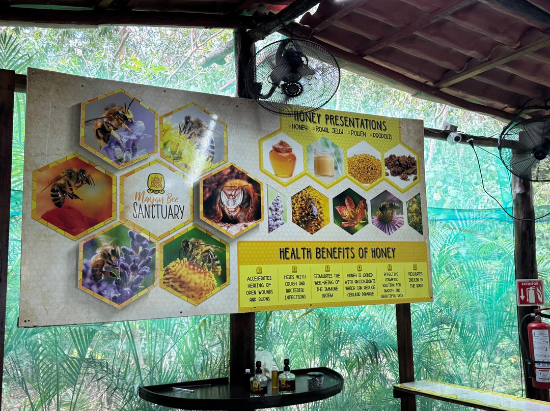 Mayan Bee Sanctuary景点图片