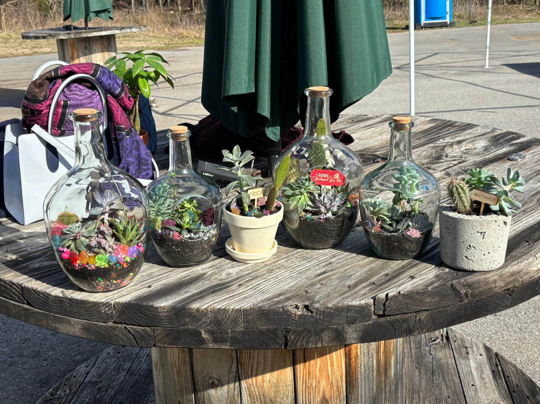 Classy Cactus Farm-默弗里斯伯勒必去景点