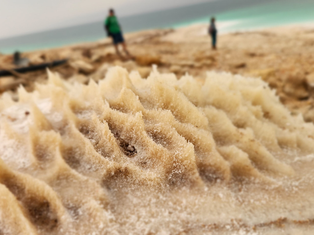 Guide4Israel - Private Tours-特拉维夫必去景点