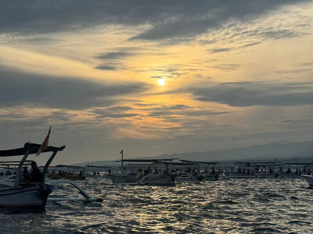 Lovina Dolphin Marine景点图片