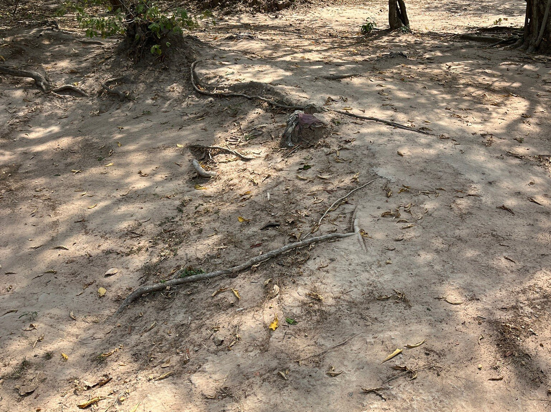 The Killing field and Toul Sleng genocide museum S21 Tour-金边必去景点