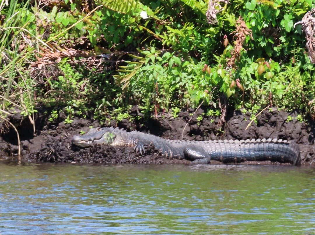 Kayak Eco Tours-阿卡迪亚必去景点