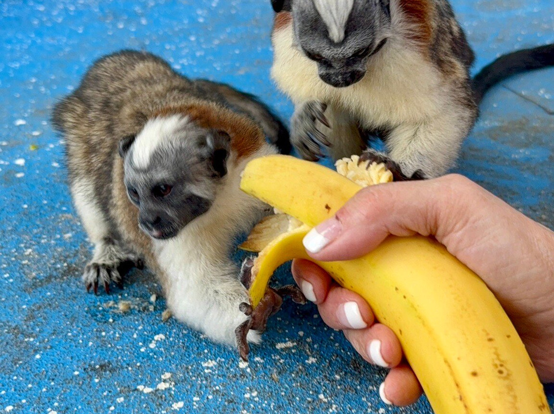 Tony's Panama Tours-巴拿马城必去景点