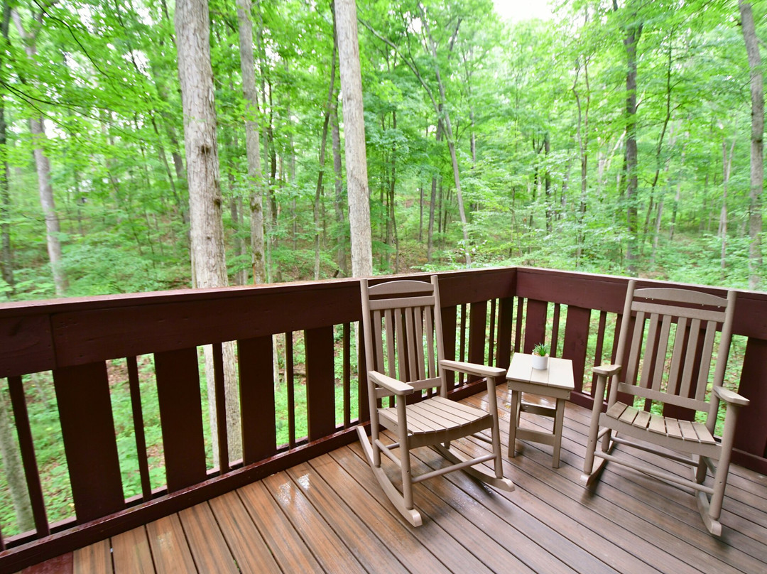 Abe Martin Lodge and Cabins主图