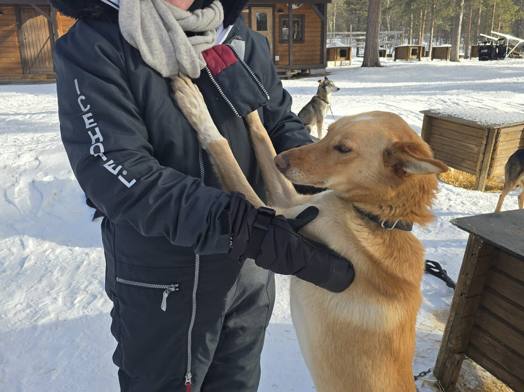 Fjellborg Arctic Journeys-基律纳必去景点