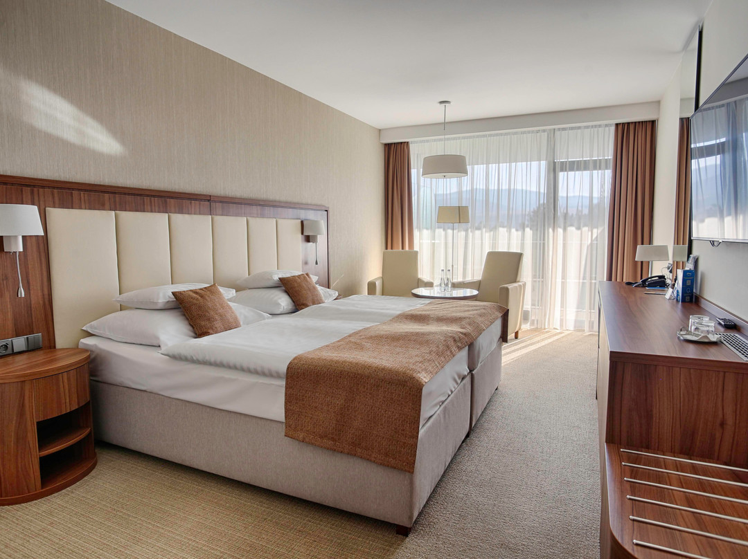 Ensana  Esplanade Health Spa主图
