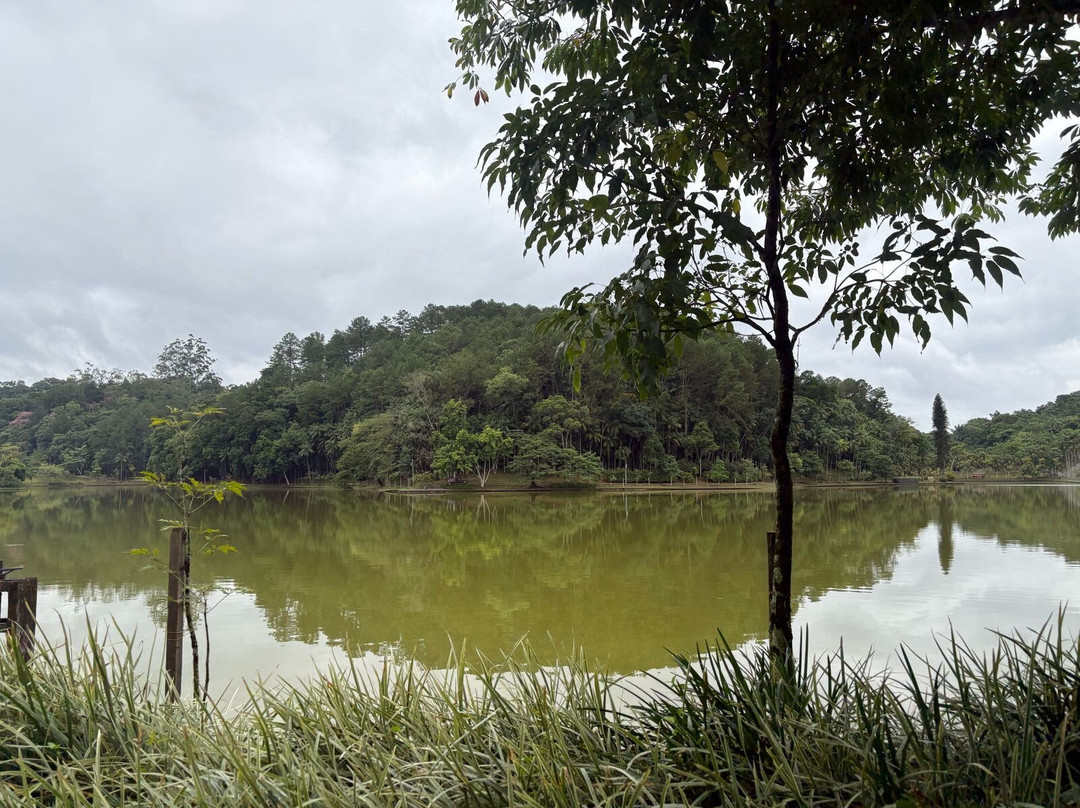 Parque Malwee景点图片
