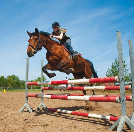 Gut Landegge - Familotel Emsland主图