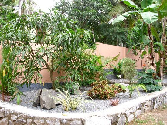 Jasmine Cottage主图