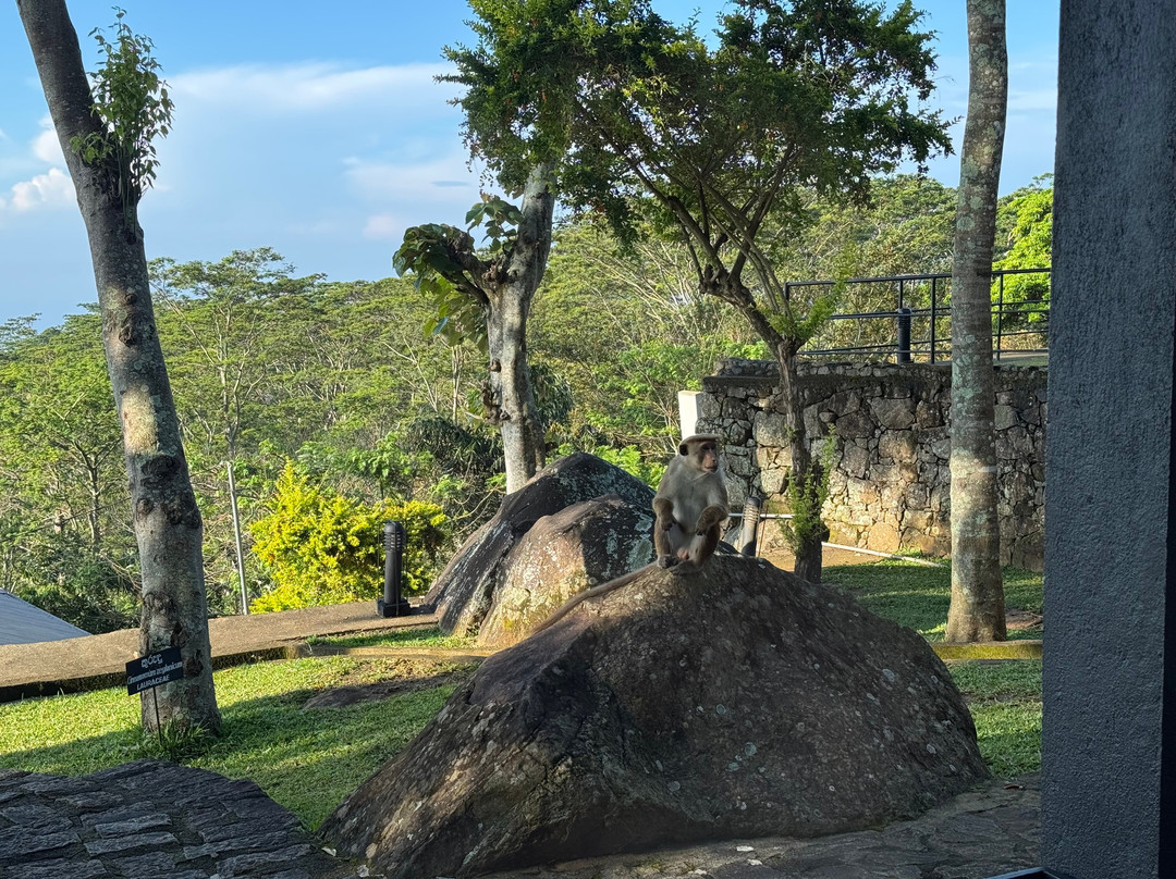梅尔海姆度假酒店主图