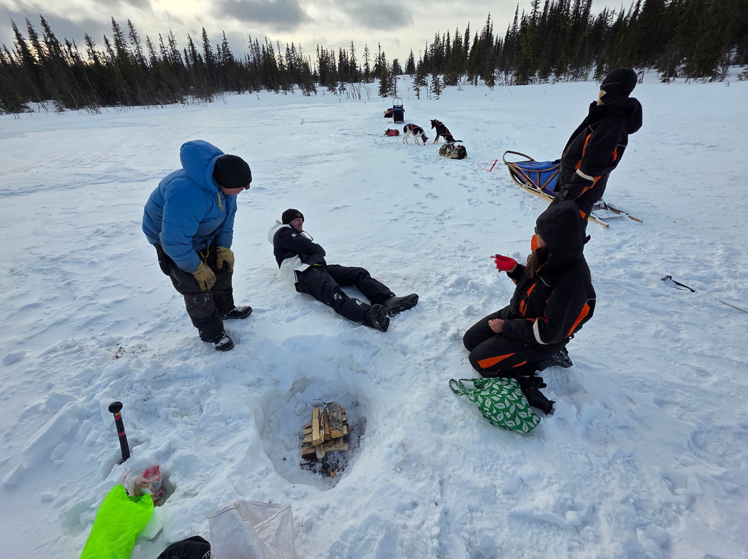 Petter Karlsson Sleddogs景点图片