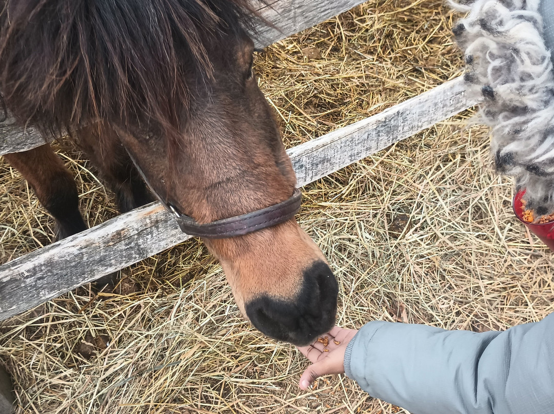 Flamig Farm-West Simsbury必去景点