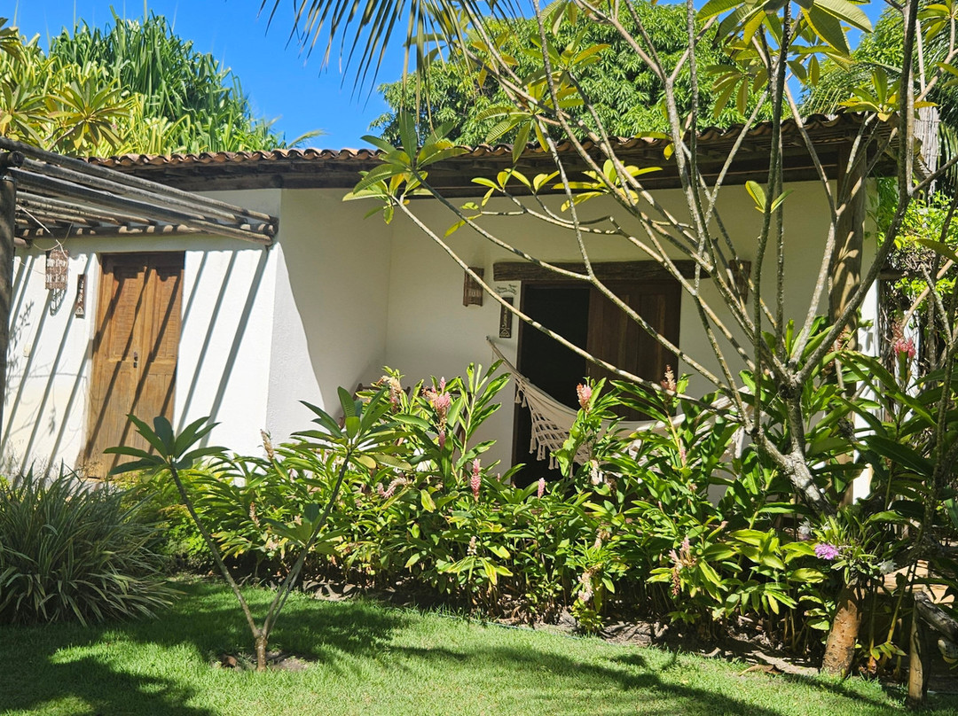 Ocacocar - Milagres主图