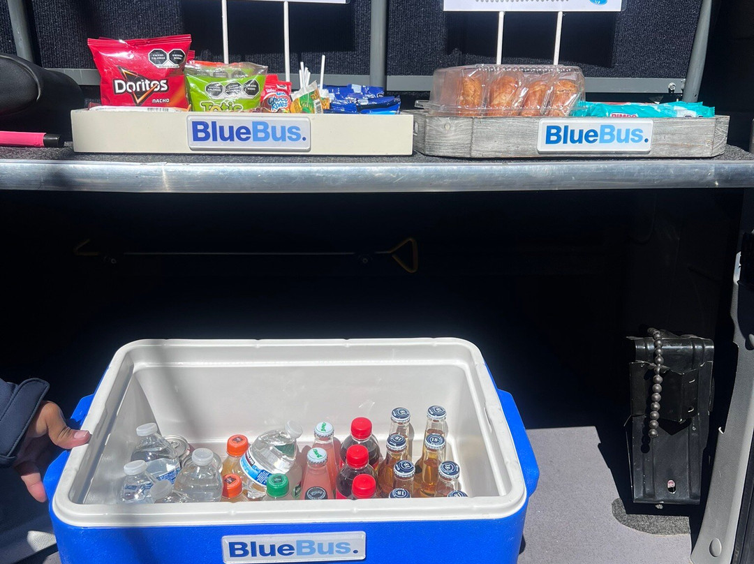 BlueBus.-墨西哥城必去景点