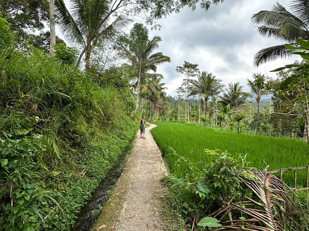 Davi Trekker-Tetebatu必去景点
