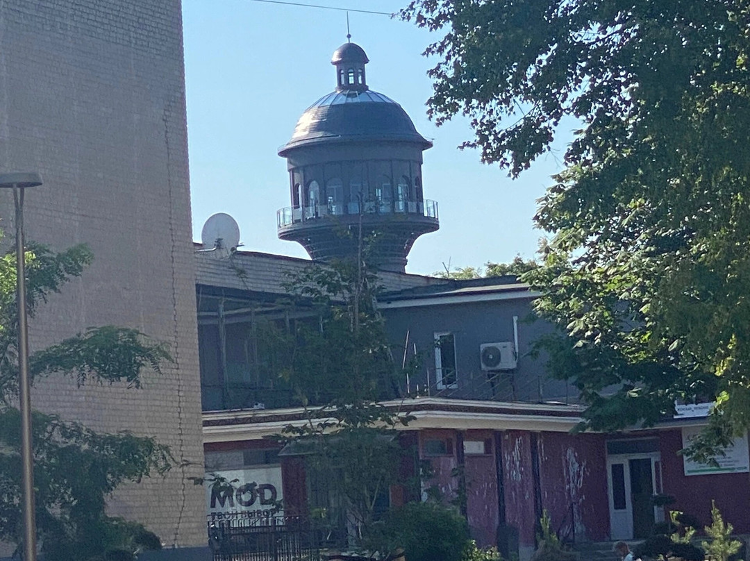 Water Tower-泽列诺格拉茨克必去景点