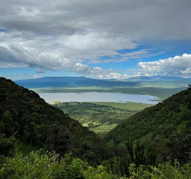 Tanzanite Trekking And Safaris-莫西必去景点