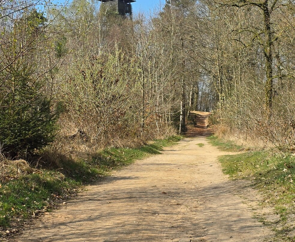 Uitkijktoren Hulzenberg-Beek Gem Montferland必去景点