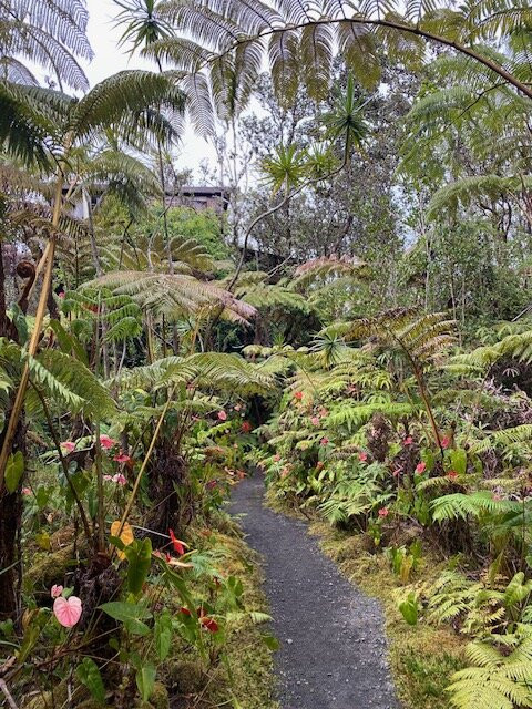 斯凯树屋酒店主图