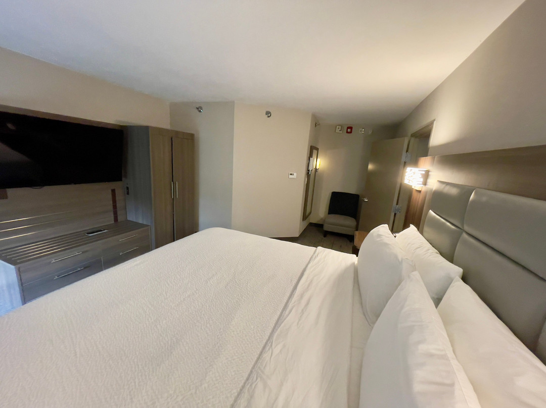 Holiday Inn Express & Suites Nashville Southeast - Antioch By IHG主图