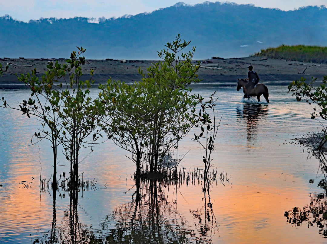 Hotel Samara Pacific Lodge主图