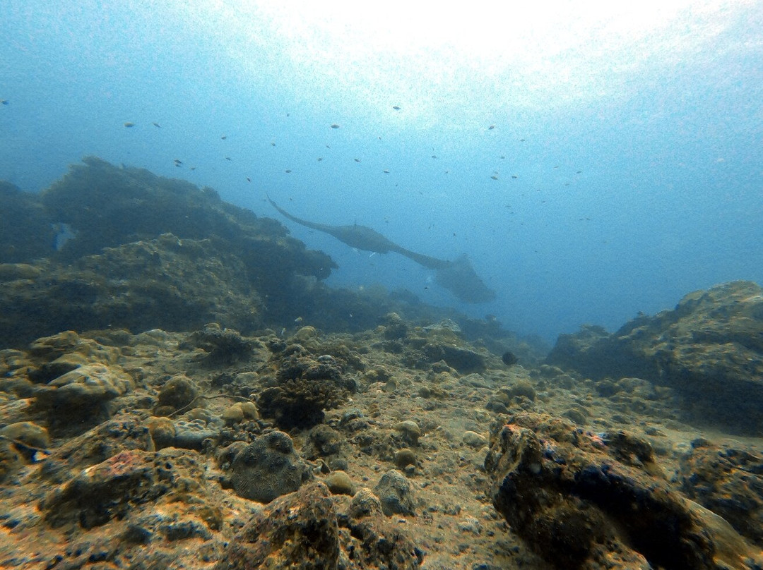 DivePoint Meedhupparu-蜜杜帕卢岛必去景点