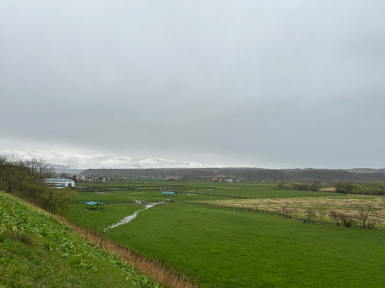 Thoroughbred Gina Parking Park-新冠町必去景点