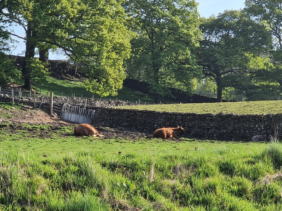 Lakeland Farm Visitor Centre景点图片