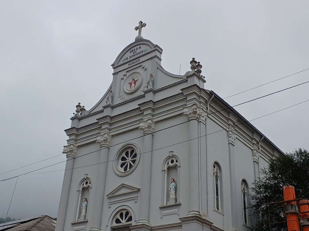Igreja Matriz São Domingos景点图片